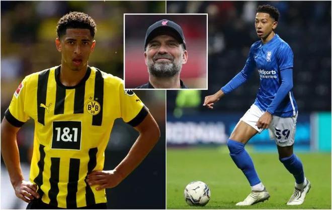 公牛伤病报告：科比·怀特&赫尔特、武切维奇今日可出战